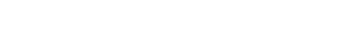 FleetSwiss